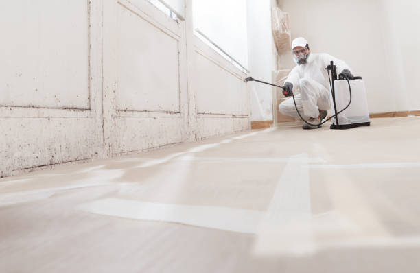 24/7 Emergency Mold Remediation experts in Entriken, PA